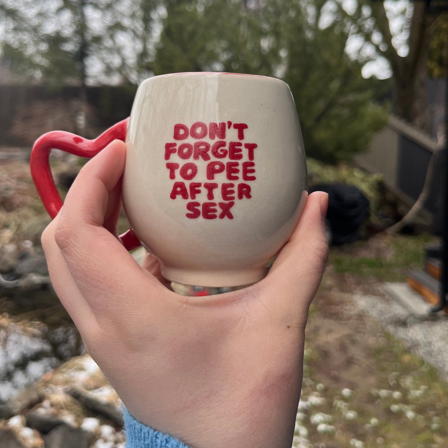 BLUE HOG & EMO HOG SAFE S*X MUGS