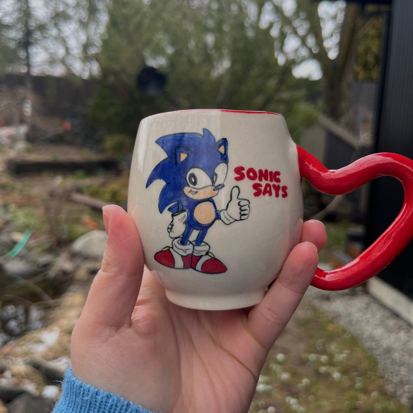BLUE HOG & EMO HOG SAFE S*X MUGS