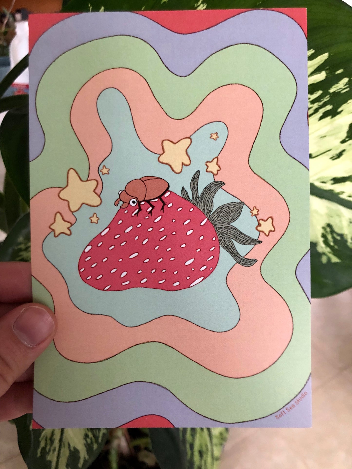 "Strawbeetle" 4x6 Prints